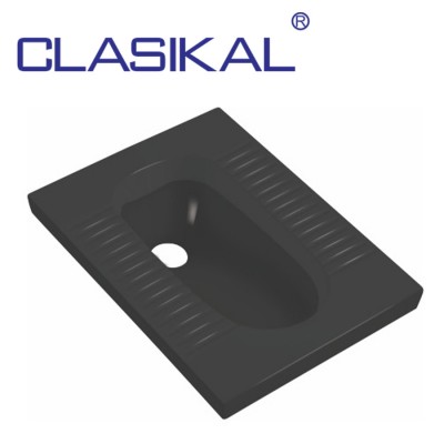 Black colored ceramic squat toilet with water tank