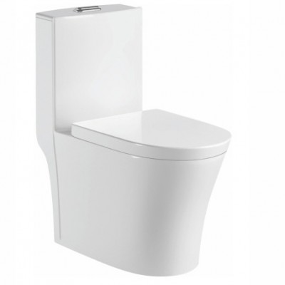 CLASIKAL Sanitary ware factory wholesale direct maldives standard dual flush simply toilet design